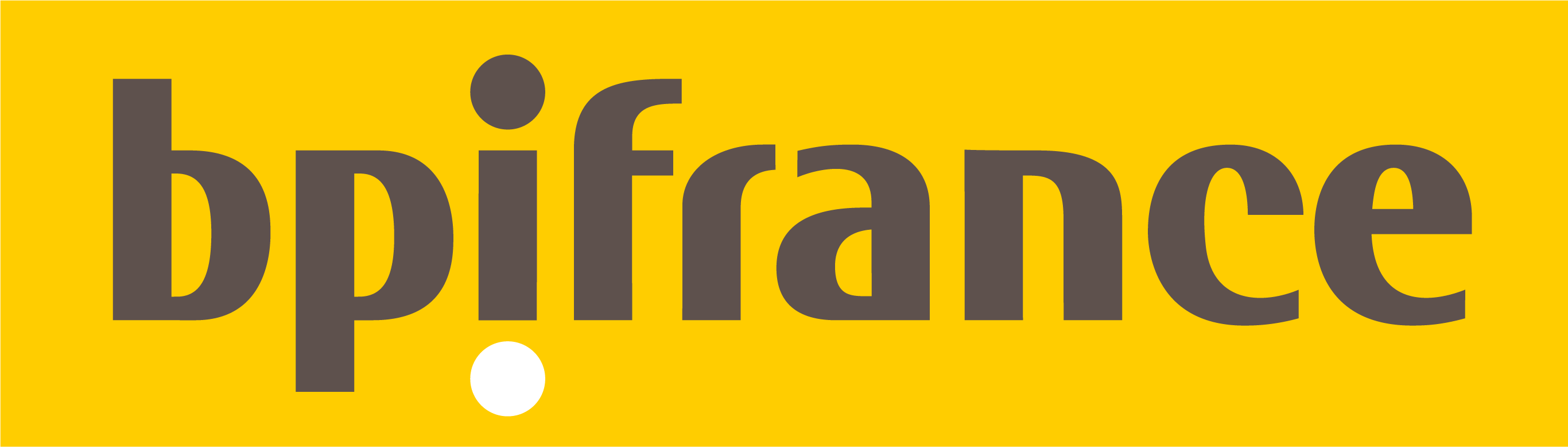 Logo Bpifrance_Partenaire_sans baseline_web